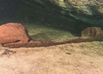 Meksika’da Mayalar tarafından kullanılan ‘yeraltı portalı’ keşfedildi