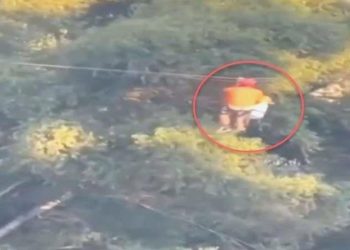 Meksika’da zipline kazası: 6 yaşındaki çocuk 12 metre yükseklikten göle düştü