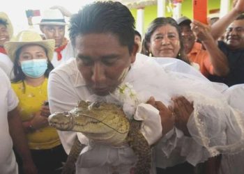 Meksikalı belediye lideri timsahla evlendi, gelinlik giydirdi, dans etti