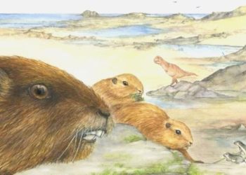 Memelilerin ataları dinozorlar ile birlikte yaşadı