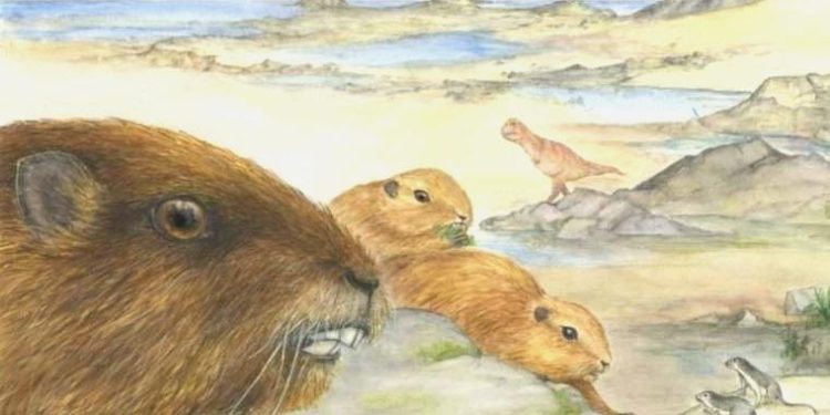 Memelilerin ataları dinozorlar ile birlikte yaşadı