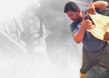 Mersin’de büyükbaş hayvana içki şişesinde sıvı veren şahsa para cezası