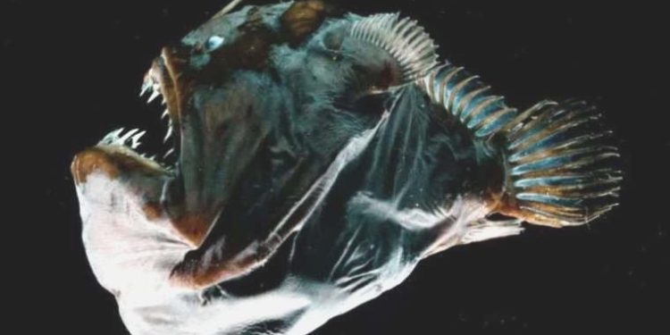 Okyanusun tabanına inmek uzaya gitmekten daha tehlikeli!