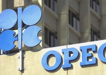 OPEC, 4 ülkeyle üyelik için görüşmeler yapıyor