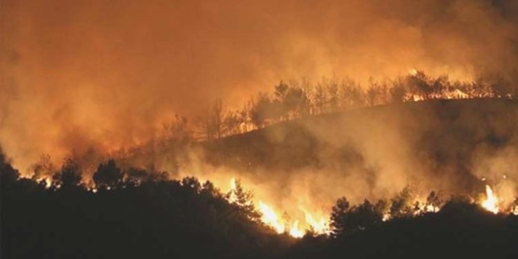 Orman yangınları uydularla tespit edilecek