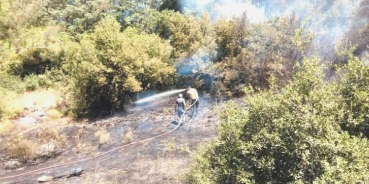 Osmaniye’de orman yangını: 2 dekar alan ziyan gördü!