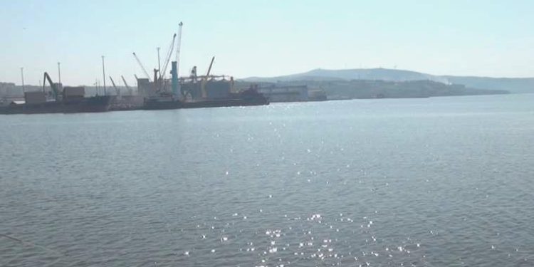 Prof. Dr. Sarı: Müsilaj bitmedi, alg çoğalmaları ekosistemin sinyal verdiğini gösteriyor