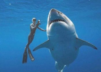 Psikolog yanıtladı: Neden zenginler tehlikeli seyahatler ister?