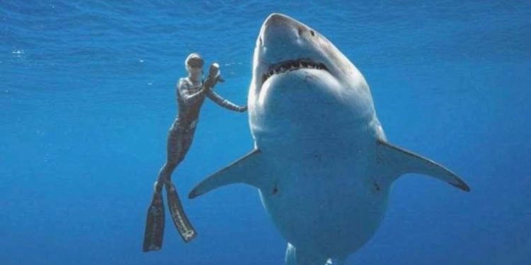 Psikolog yanıtladı: Neden zenginler tehlikeli seyahatler ister?