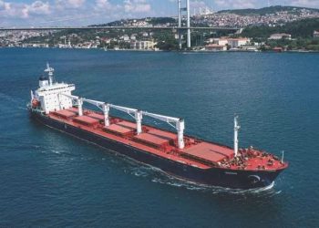 Rus basını: Ankara-Moskova çizgisinde tahıl muahedesi görüşmeleri devam ediyor