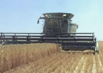 Rusya Dışişleri Bakanlığı: ‘Tahıl muahedesinin devam etmesi için rastgele bir neden yok’