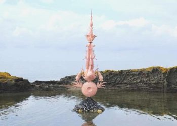 Sanatçı Alper Aydın’ın ‘Fata Morgana’ isimli standı, kent ve onun güzellikleriyle iç içe: Ordu’da bir ‘doğa olayı’