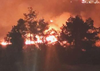 Şanlıurfa’da piknik alanında korkutan yangın!