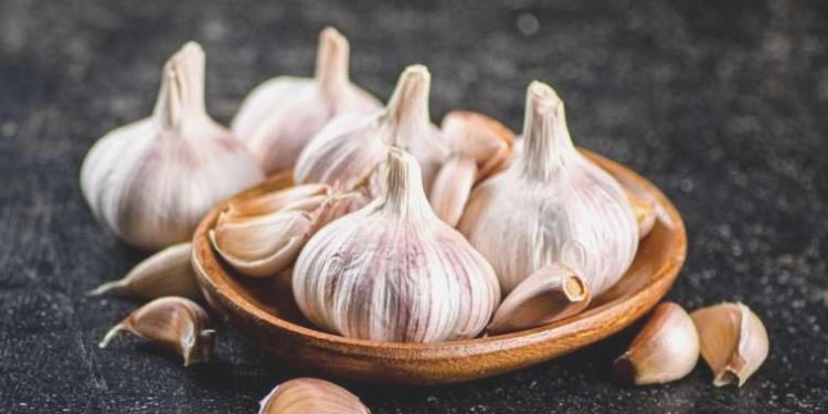 Sarımsak tarlada 15, markette 40 lira