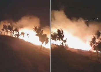 Siirt’te gece yarısı korkutan yangın: Ormanlık alana sıçardı