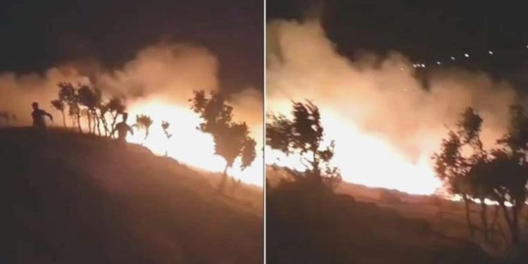 Siirt’te gece yarısı korkutan yangın: Ormanlık alana sıçardı