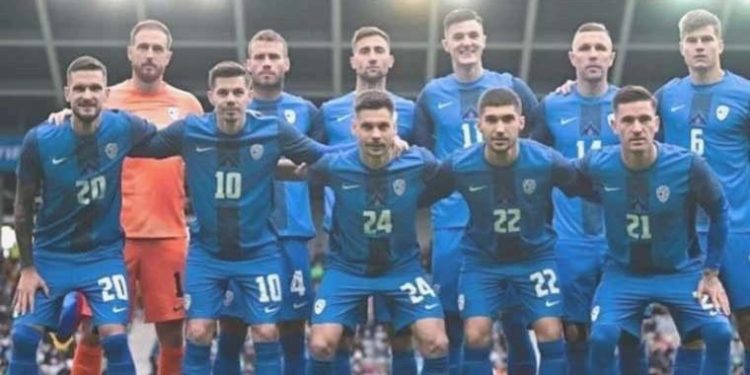 Slovenya kendi alanında Danimarka’yı yenemedi