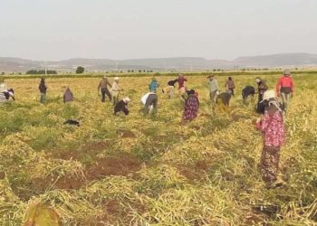 Tarım çalışanlarının beklediği fiyat tarifesi muhakkak oldu