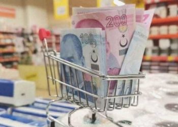 TL’deki paha kaybı enflasyonu ne kadar artıracak? Hakan Kara açıkladı…