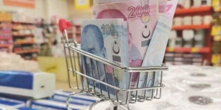 TL’deki paha kaybı enflasyonu ne kadar artıracak? Hakan Kara açıkladı…