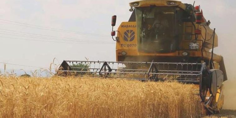 TMO’nun hububat satış fiyatları belirlendi