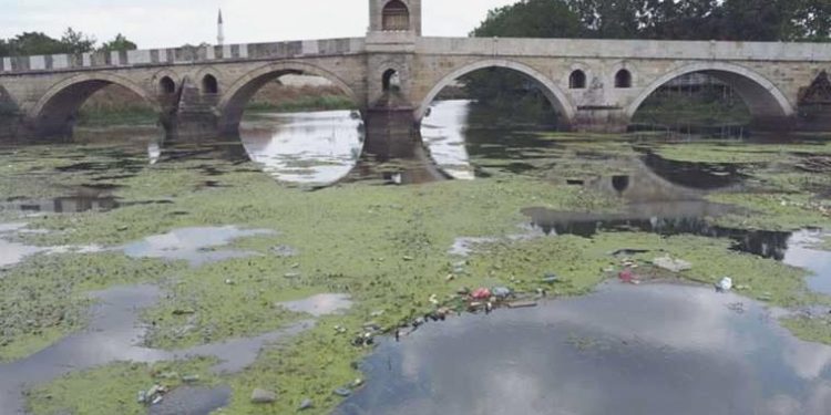 Tunca Irmağı’nda üzen imaj… Su düzeyi yarıya düştü, yüzeyi ot ve çöple kaplandı
