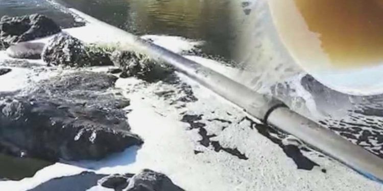 Valilik ‘kapatılmasın’ dedi lakin… Giresun’da zehir saçan tesise bir iptal kararı daha!