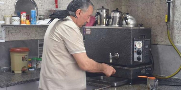 Yaralı karga Şakir, kıraathanenin şirin maskotu oldu