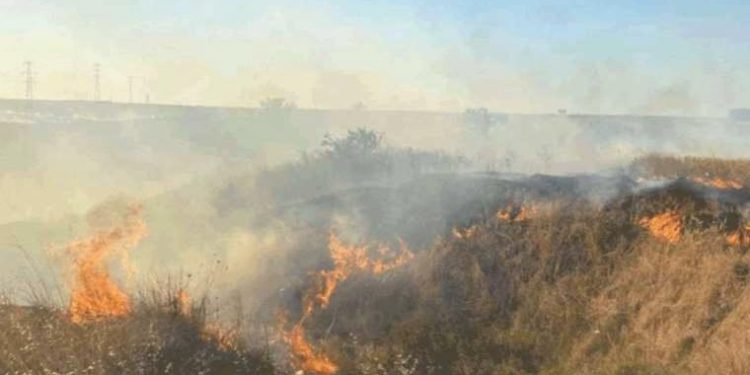 100 dönüm anız cayır cayır yandı: İstanbul-Edirne yolu trafiğe kapandı