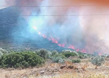 AB, Yunanistan’a yangın söndürme uçakları sevk edecek