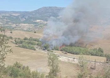 Adana’da ormana sıçrayan yangın denetim altına alındı