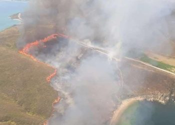 Avşa Adası’nda yangın… Denetim altına alındı!