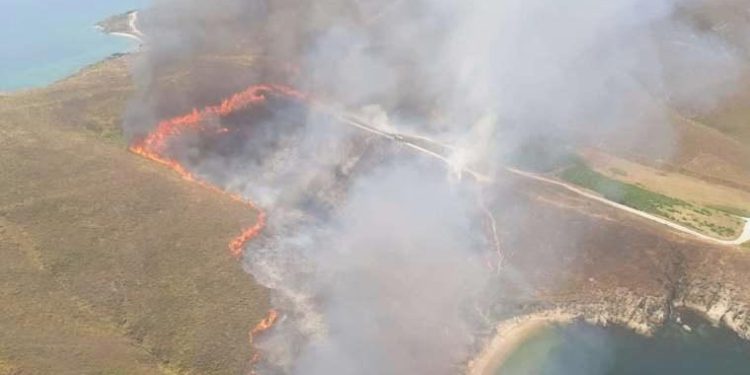 Avşa Adası’nda yangın… Havadan ve karadan müdahale ediliyor!