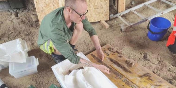 Bahçede hafriyat yaparken 1100 yıllık Viking savaşçısı mezarı keşfetti