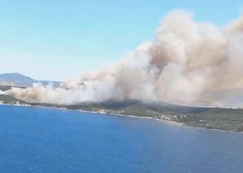 Bakan Koca’dan İzmir Menderes’teki orman yangınından etkilenenlerin sıhhat durumuna ait açıklama