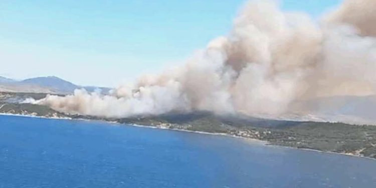 Bakan Koca’dan İzmir Menderes’teki orman yangınından etkilenenlerin sıhhat durumuna ait açıklama