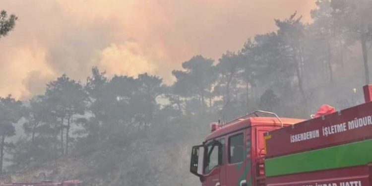 Bakan Yumaklı açıkladı: Hatay Belen’deki orman yangını denetim altına alındı