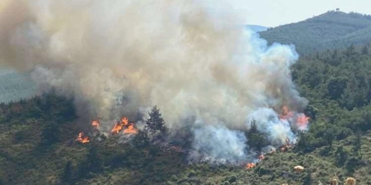 Balıkesir’de orman yangını! Takımlar müdahale ediyor