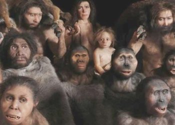 Beşerler büyük beyinlerini talih yapıtı kazanmış olabilir mi?