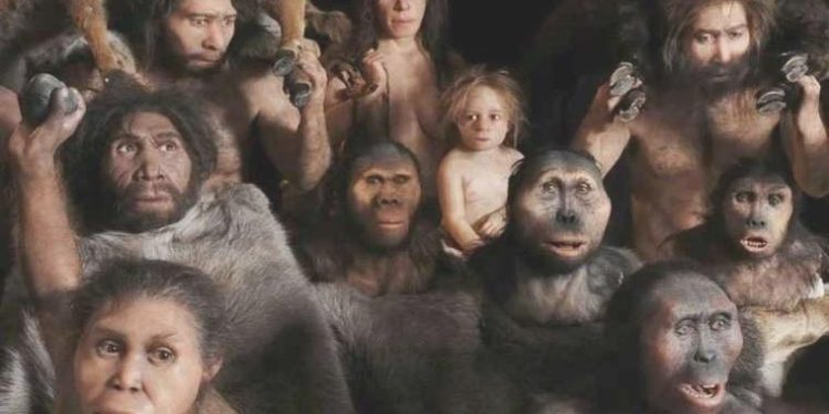 Beşerler büyük beyinlerini talih yapıtı kazanmış olabilir mi?