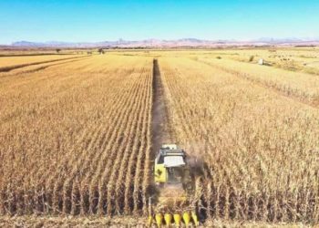 Besinimiz savaş bölgesinden