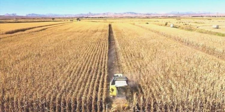 Besinimiz savaş bölgesinden