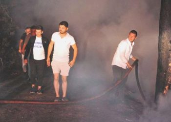 Bursa’da orman yangını 3 saate denetim altına alındı: 1 gözaltı