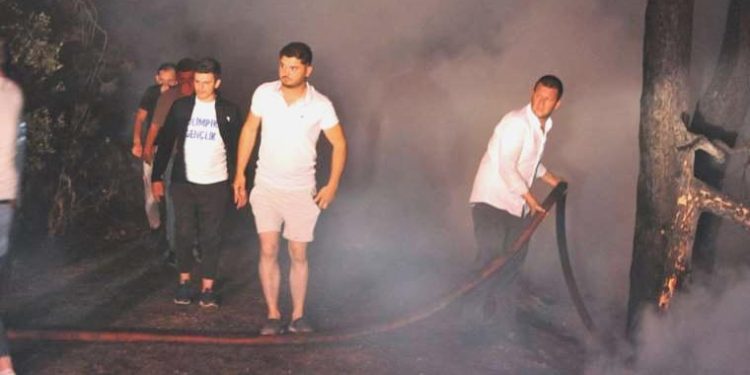 Bursa’da orman yangını 3 saate denetim altına alındı: 1 gözaltı