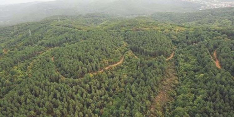Bursa’da ormanlık alanlara giriş yasağında ek önlemler