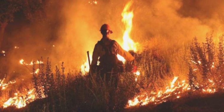 Büyük tehlikenin farkında mısınız?