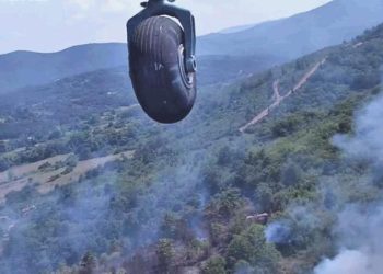 Çanakkale’de orman yangını