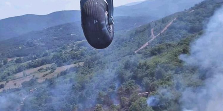 Çanakkale’de orman yangını