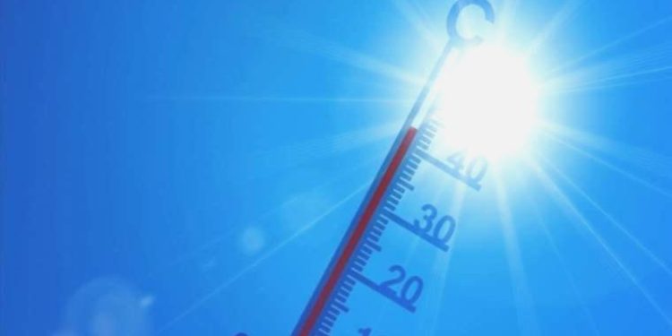 Çok sıcaklara bağlı vefatlar yeni olağan haline gelebilir