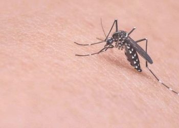 Diyabet hastalarına sivrisinek uyarısı